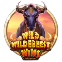 Wild Wildebeest Wins
